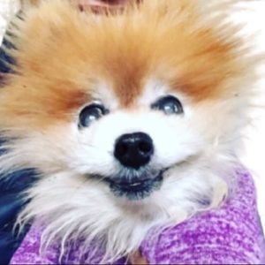 Meet your Posher, Craig